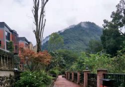QQDƬ20191230163059